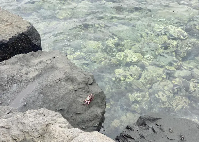 Apartment Casa Salina *