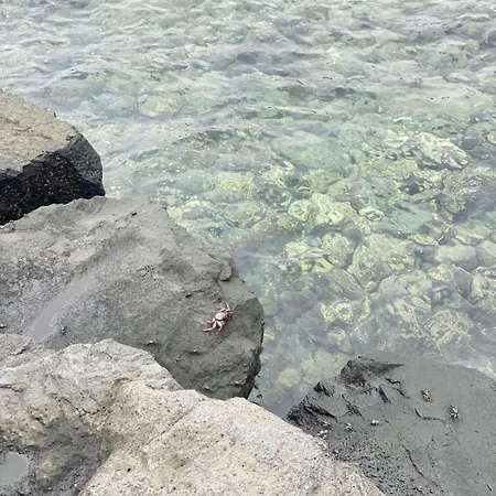 Apartment Casa Salina *